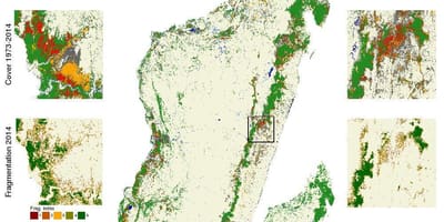 Karta Madagaskara krčenje šuma